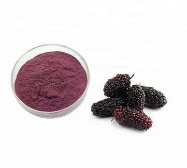 spray dried mulberry fruit powder.jpg