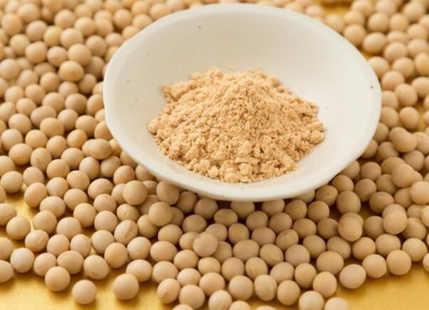 dried soybean powder.jpg