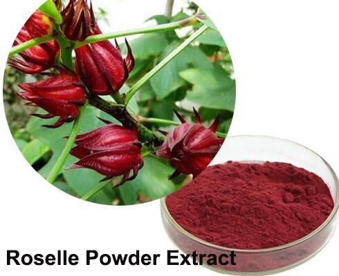 buy roselle extract