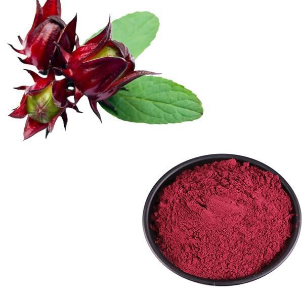 roselle extract powder.jpg