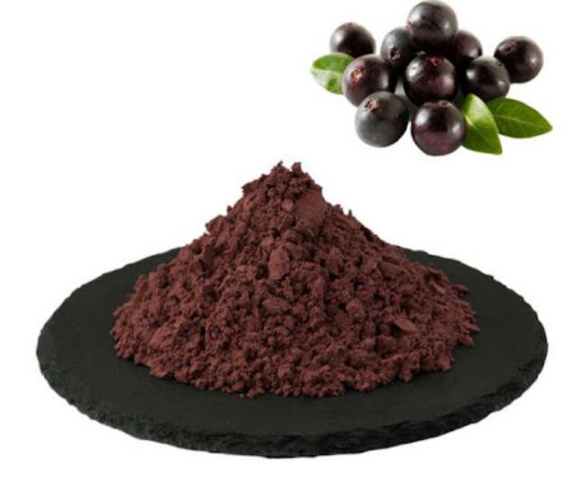 organic freeze dried acai berry powder-1.jpg