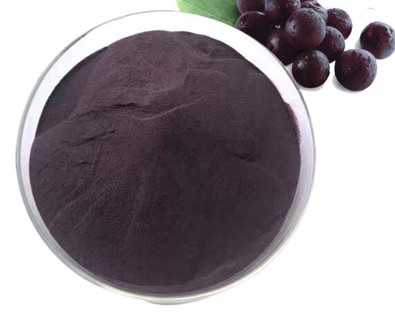 dried maqui berry powder.jpg