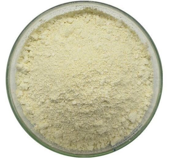 buy kava extract.jpg