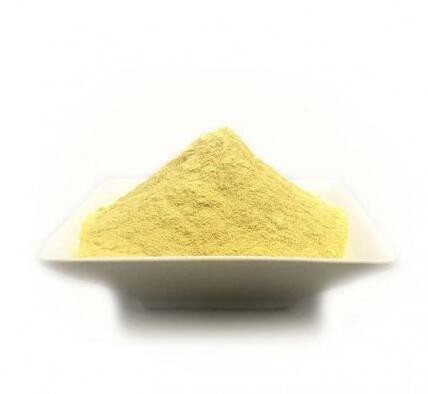 buy kava kava extract.jpg