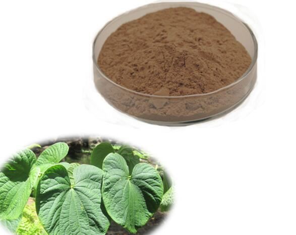 kava kava root extract.jpg