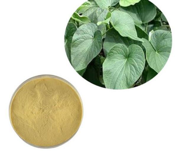 bulk kava extract.jpg