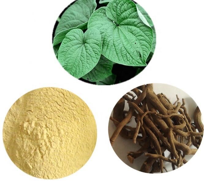 best kava kava extract.jpg