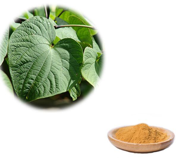 wholesale kava powder.jpg