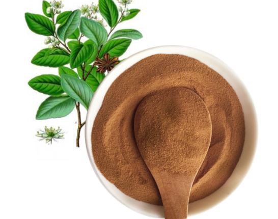 saponaria extract powder.png