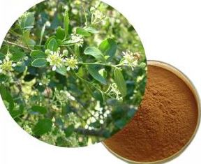 quillaja saponaria soap bark extract.png