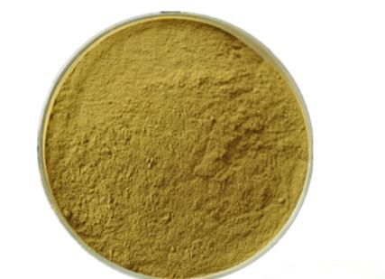 lemon balm extract-1.png