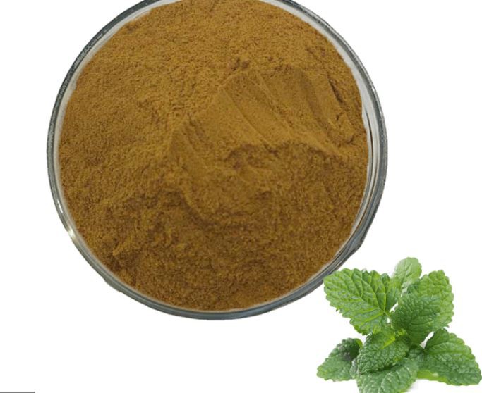 lemon balm herb extract.png