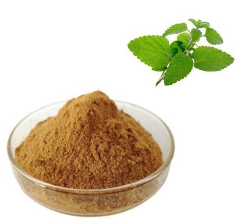 buy lemon balm extract.png