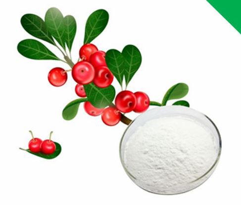 bearberry powder.png