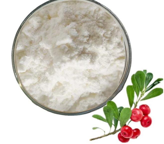 buy bearberry extract.jpg