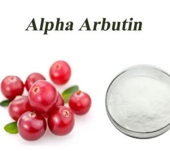 arbutin extract