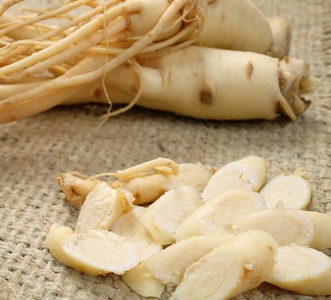 korean red ginseng powder benefits