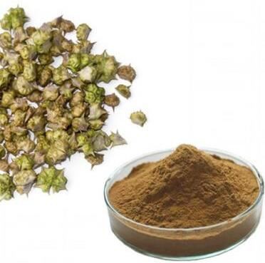 tribulus terrestris extract powder suppliers.jpg