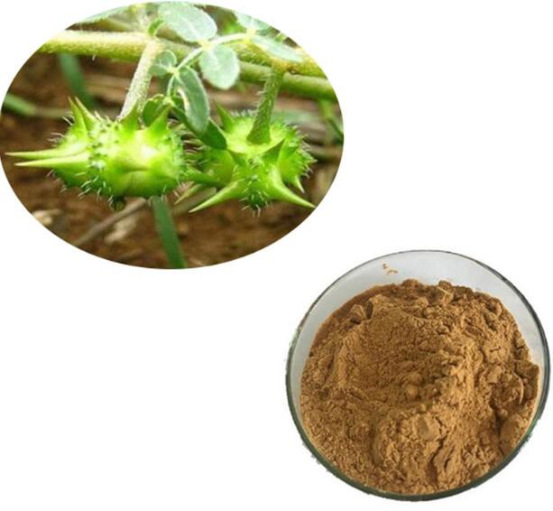 wholesale tribulus terrestris extract powder.jpg