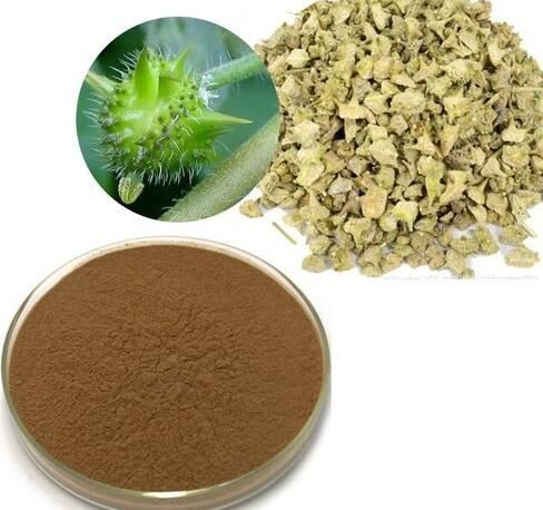 tribulus terrestris 40 saponins