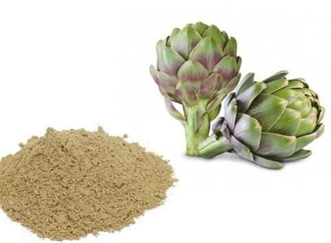 artichoke extract supplement.jpg