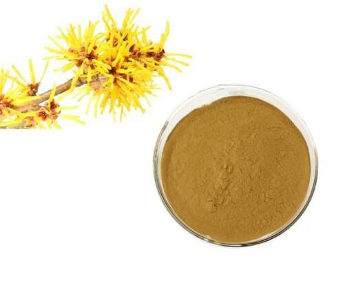 witch hazel extract powder.jpg