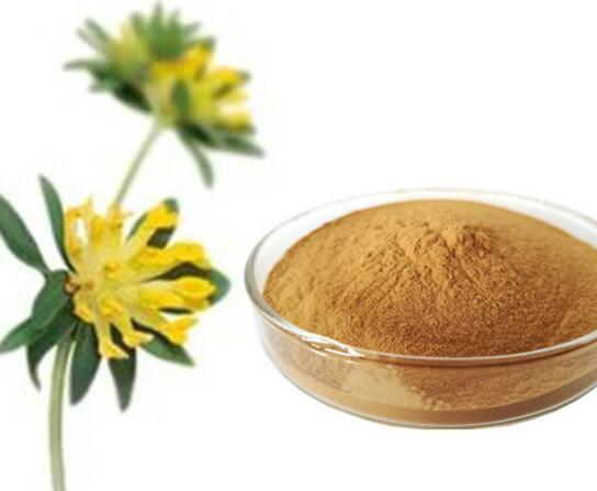 best witch hazel extract powder.jpg