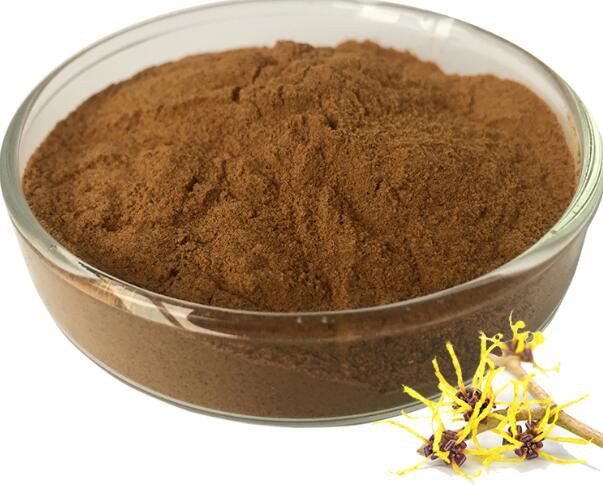 hamamelis virginiana extract in skin care.jpg