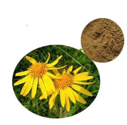 arnica extract wholesale.jpg