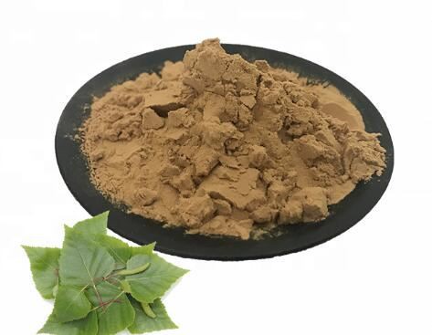 birch leaf extract.jpg