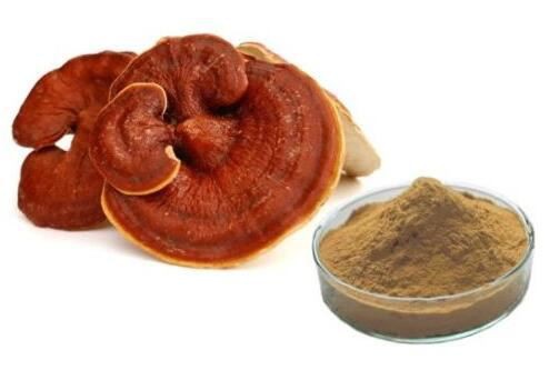 red reishi extract.jpg