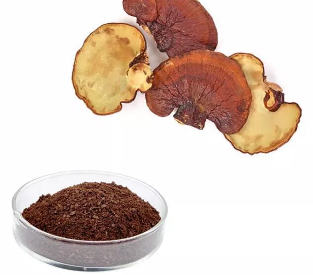 best reishi extract.jpg