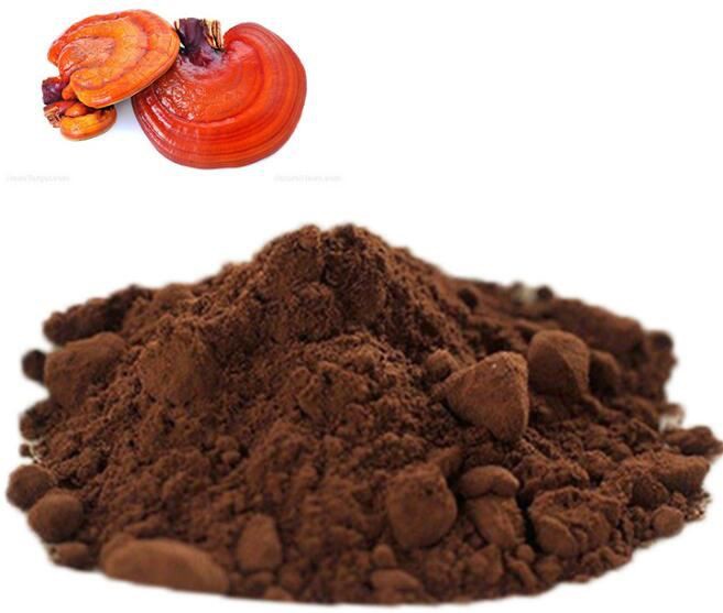 buy reishi extract.jpg