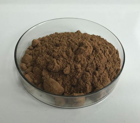 japanese elm bark extract.png