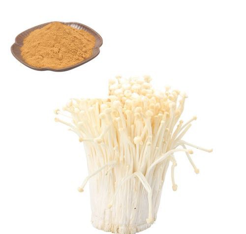 buy enoki mushroom extract