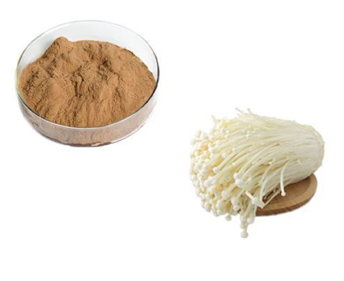 enoki mushroom extract weight loss.png