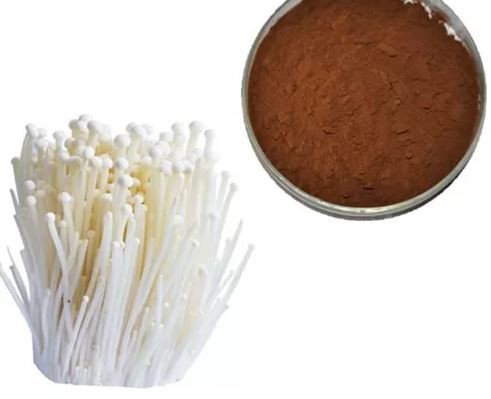 enoki musroom powder organic.png