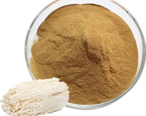 flammulina velutipes powder