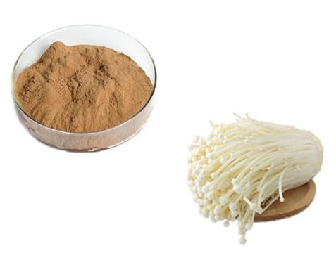 lily mushroom powder.png