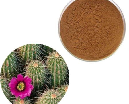 prickly pear red fruit powder.png