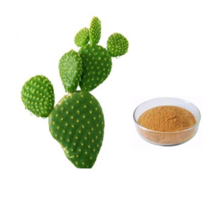 prickly pear seed powder.png