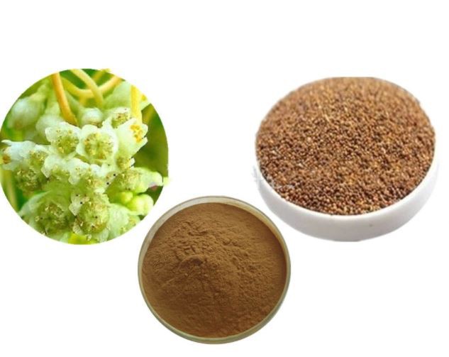 chinese dodder seed extract.png