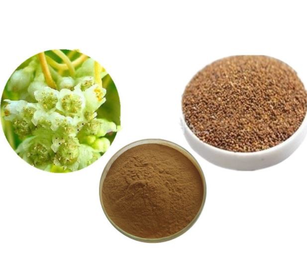 cuscuta seed extract powder.png