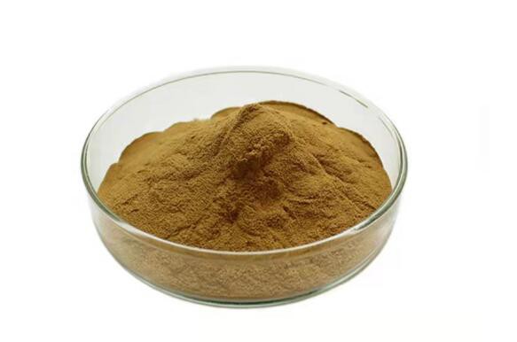 cuscuta seed powder.jpg