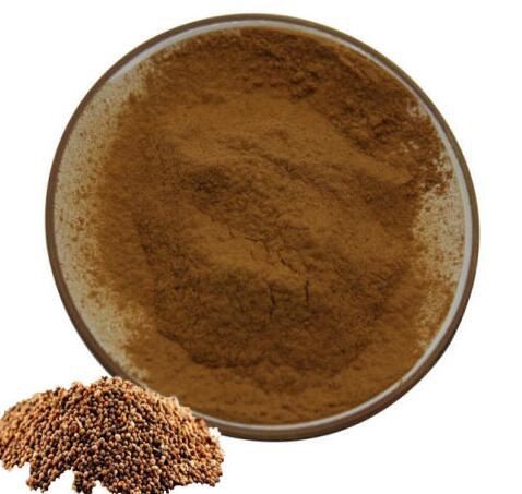 semen cuscutae extract powder.jpg