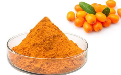 organic sea buckthorn fruit powder.jpg