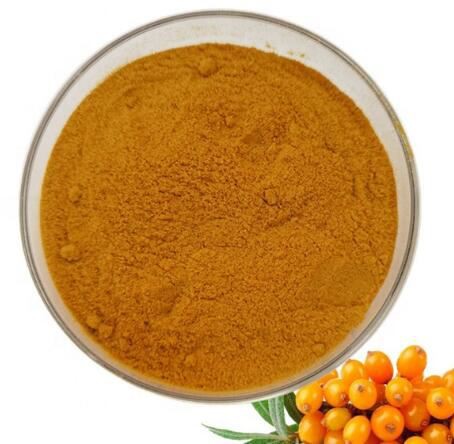 organic sea buckthorn powder