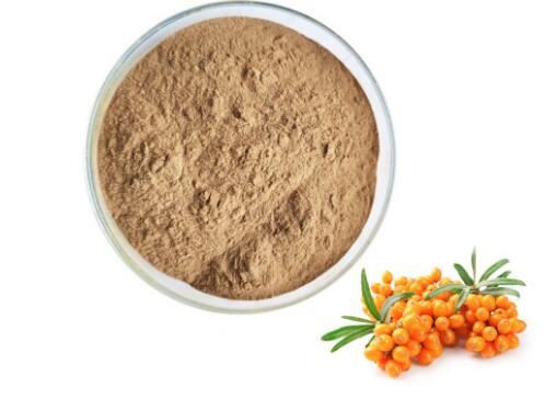 sea buckthorn powder bulk.jpg