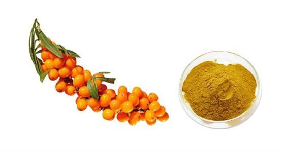 sea buckthorn powder price