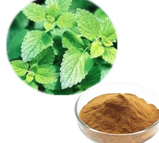 melissa officinalis leaf extract skin benefits.jpg